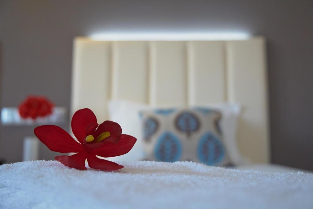 Hotel Azinheira By Ridan Hotels Fátima Rum bild
